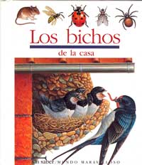 Los bichos de la casa