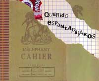 Querido espantapájaros