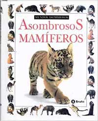 Asombrosos mamíferos