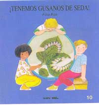 Tenemos gusanos de seda