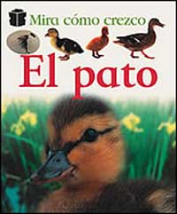 El pato