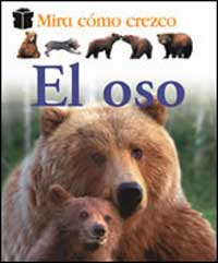 El oso