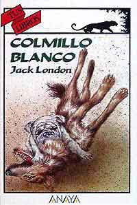 Colmillo blanco