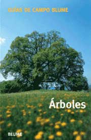 Árboles