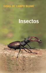 Insectos