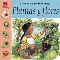 Plantas y flores