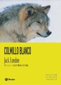 Colmillo blanco