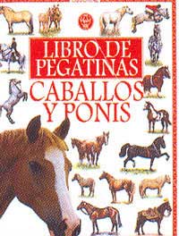 Caballos y ponis