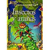 Insectos y arañas
