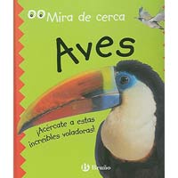 Aves