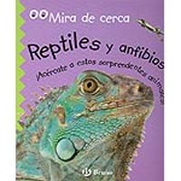 Reptiles y anfibios