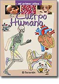 El cuerpo humano