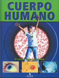Cuerpo humano