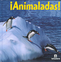 ¡Animaladas!