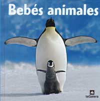 Bebés animales