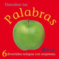 Descubro las palabras