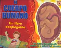 El cuerpo humano