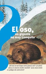 El oso, un gigante no muy tranquilo