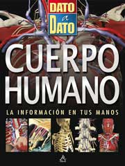 Cuerpo humano