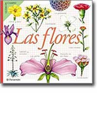 Las flores