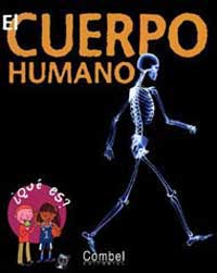 El cuerpo humano