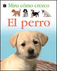 El perro