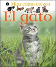 El gato