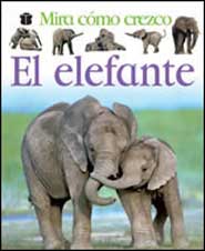 El elefante