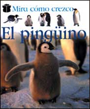 El pingüino