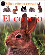 El conejo