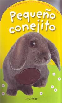 Pequeño conejito