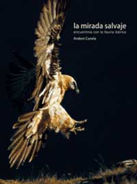 La mirada salvaje : encuentros con la fauna ibérica