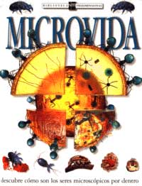 Microvida : descubre cómo son los seres microscópicos por dentro