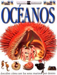 Océanos : descubre cómo son los animales marinos por dentro