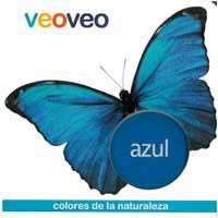 Veoveo Azul