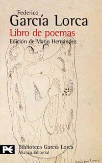 Libro de poemas