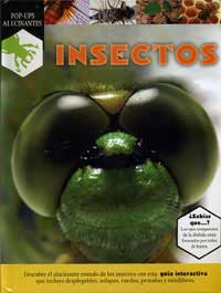Insectos