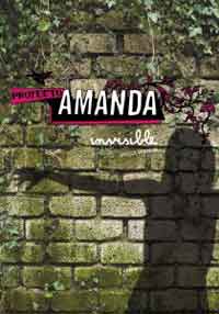 Proyecto Amanda 1. Invisible