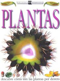 Plantas : descubre cómo son las plantas por dentro