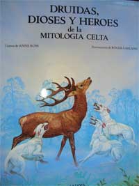 Druidas, dioses y héroes de la mitología celta