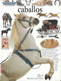 Caballos