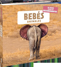 Bebés animales