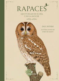 Rapaces que vuelan en el día y en la noche