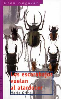 Los escarabajos vuelan al atardecer