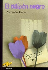 El tulipán negro
