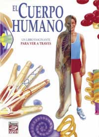 El cuerpo humano