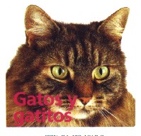 Gatos y gatitos