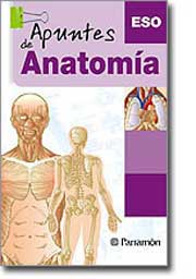 Apuntes de anatomía ESO