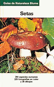 Setas