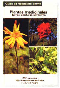 Plantas medicinales : bayas, verduras silvestres